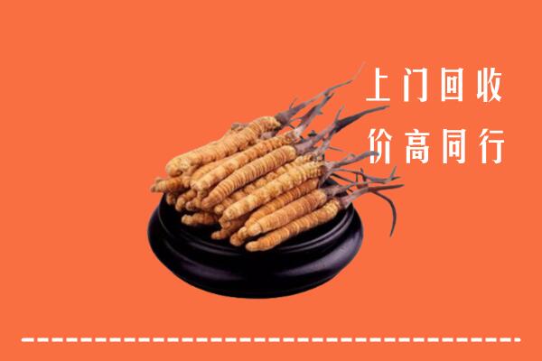 高价求购：汕尾回收散虫草