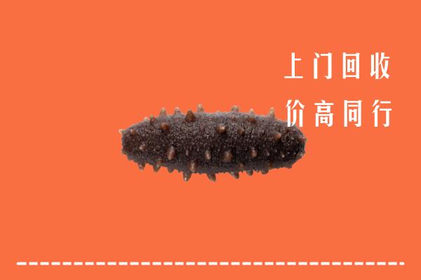 汕尾回收海参