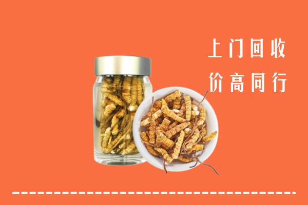 汕尾回收冬虫夏草